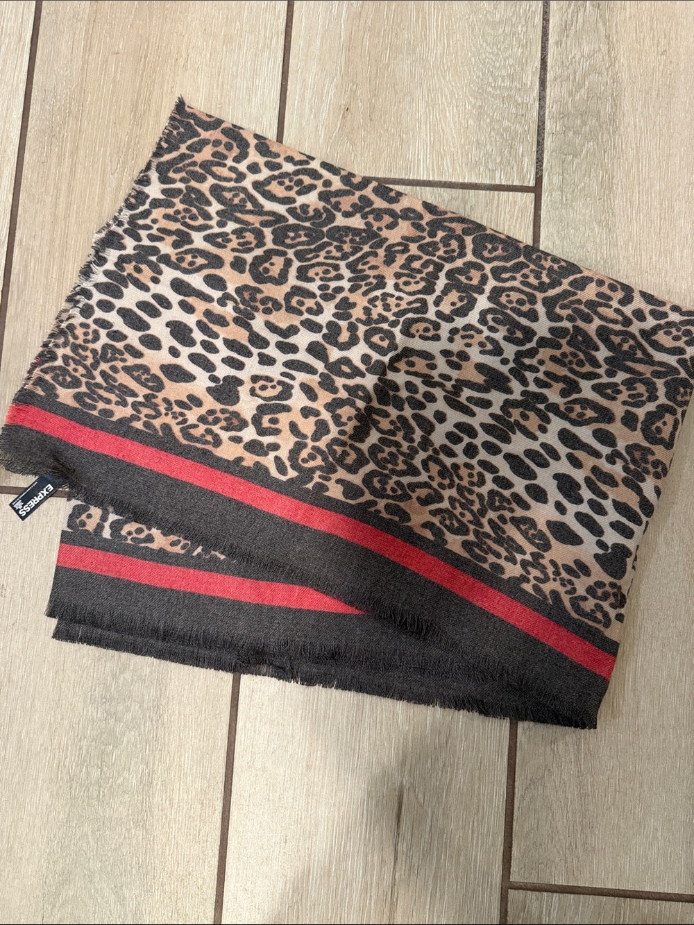 Express Leopard Print Scarf with Black and Red Stripes